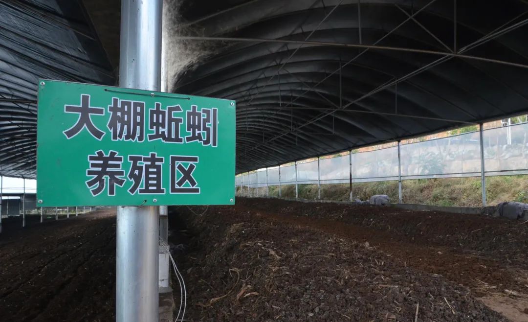 潔匠凈化·的凈工業(yè)除臭劑_的凈工業(yè)除臭劑高效治理蚯蚓養(yǎng)殖惡臭異味大、牛糞味濃