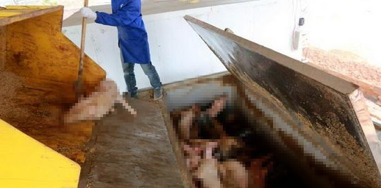 潔匠凈化·的凈工業(yè)除臭劑_動(dòng)物無害化處理廠，惡臭異味危害大，工業(yè)除臭劑起作用！