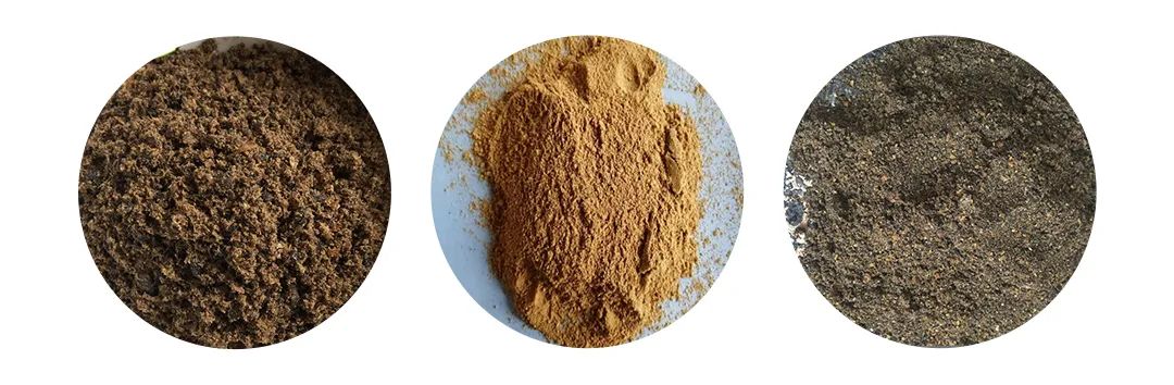 羽毛粉加工腥味、苦味、惡臭味混雜，看<a href='/' style='color: blue;' target='_blank'>工業(yè)除臭劑</a>如何快速除臭！.jpg