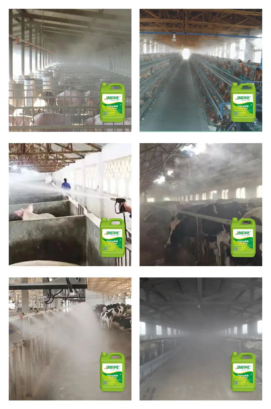 養(yǎng)殖場太臭，用Dejing的凈除臭劑迅速除臭！豬圈/雞場/牛場/羊圈....jpg